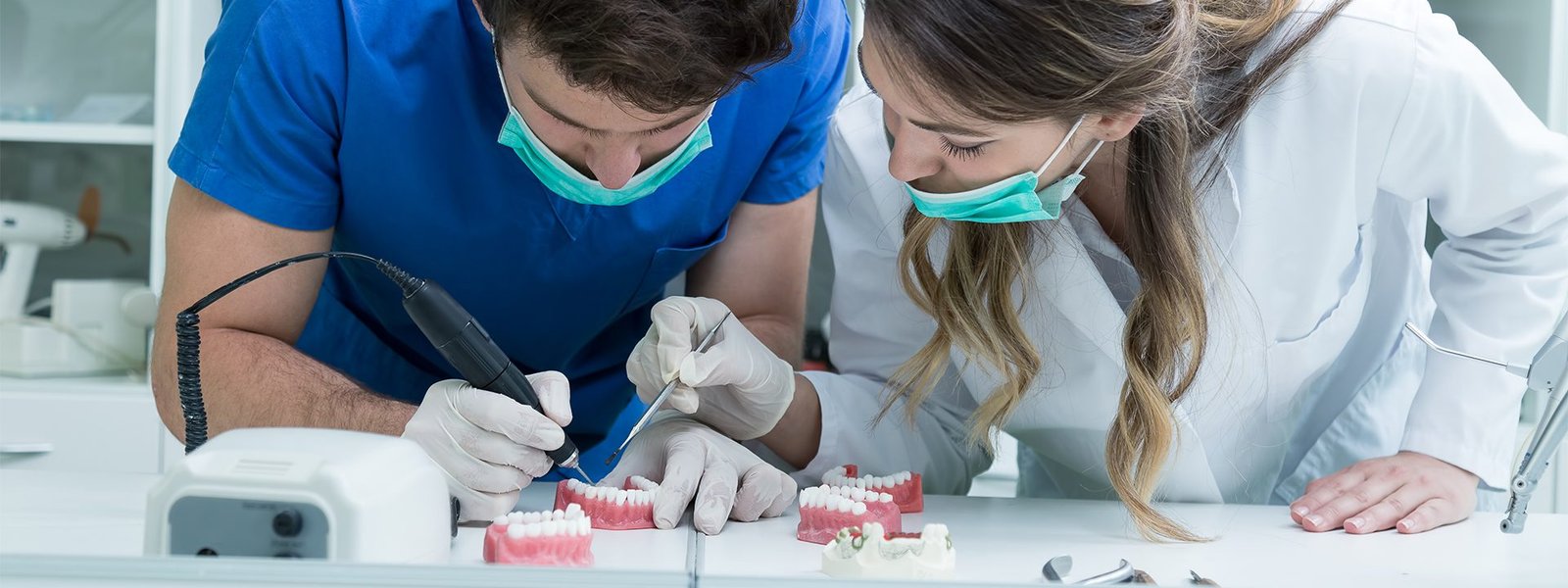 For dentist studying and research